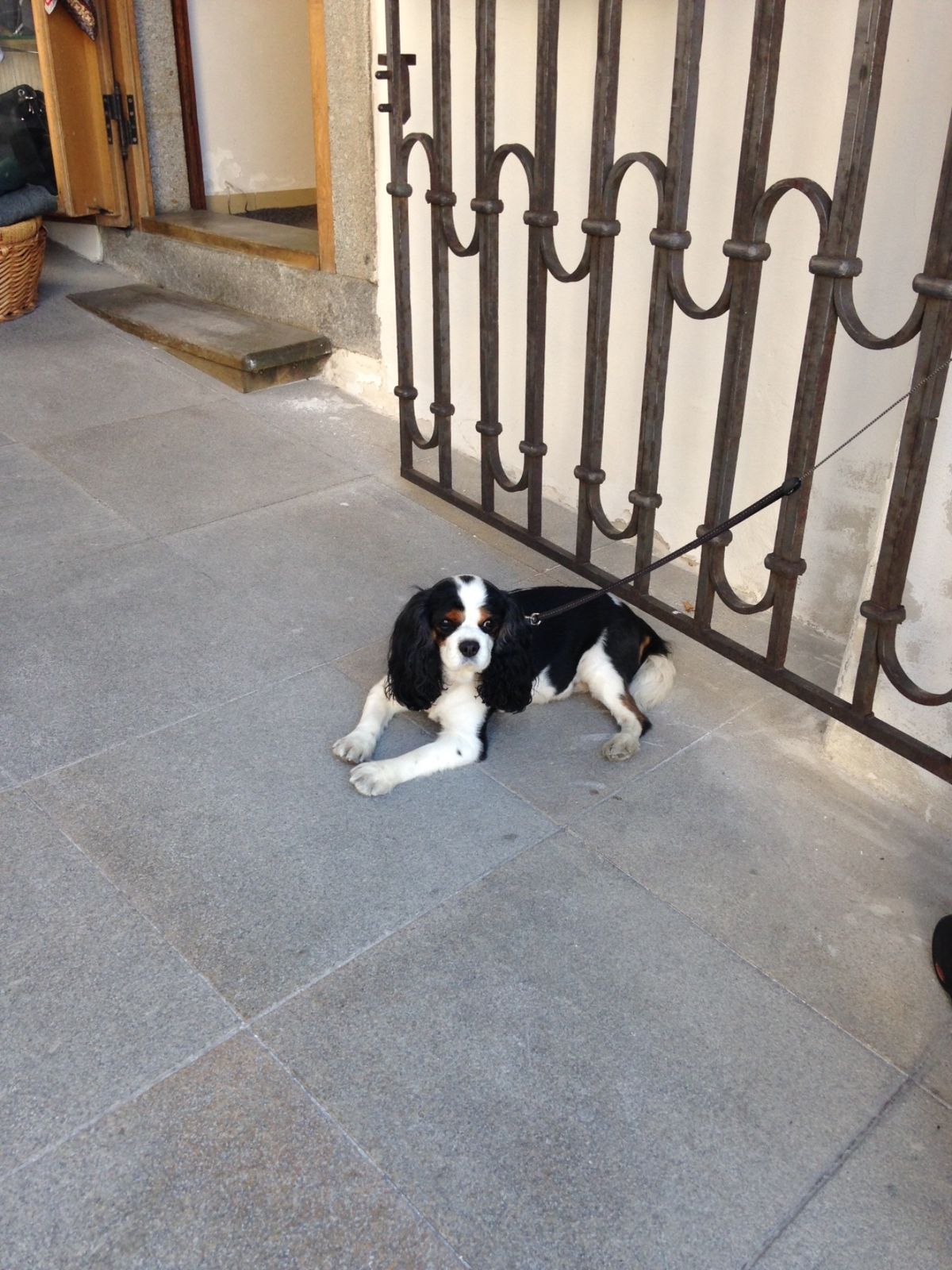 チェスキークルムロフの細部