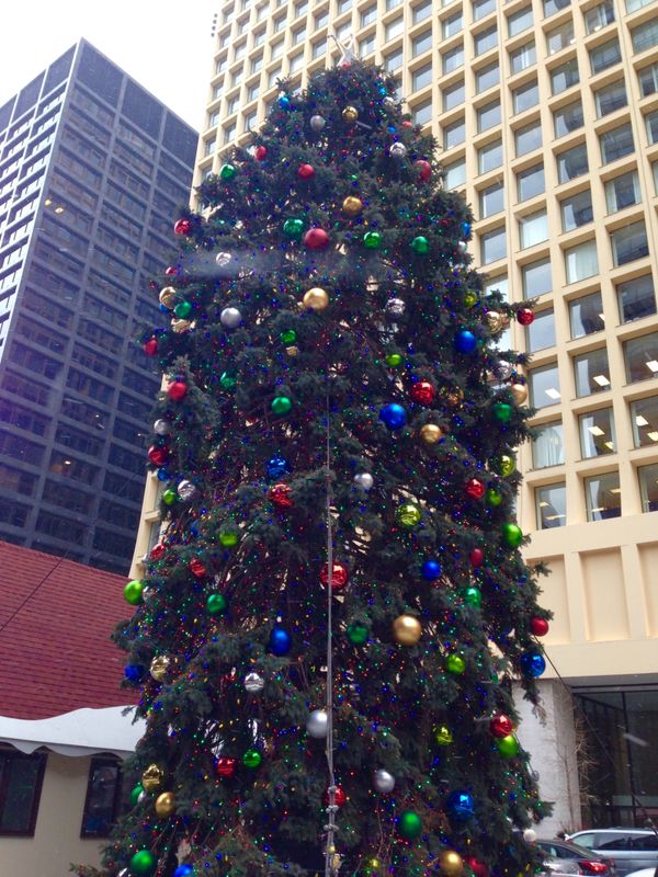 アメリカ(米国)・シカゴ「ブルースを求めてシカゴ」の写真：街中ではクリスマスマーケットなどが。
...