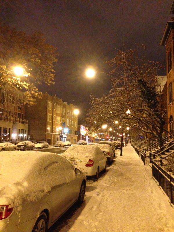 アメリカ(米国)・シカゴ「ブルースを求めてシカゴ」の写真：雪が本降りになって来た中、電車でライブハ...