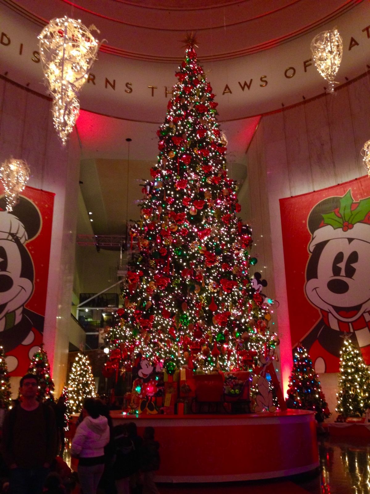 クリスマスツリーがお出迎え。