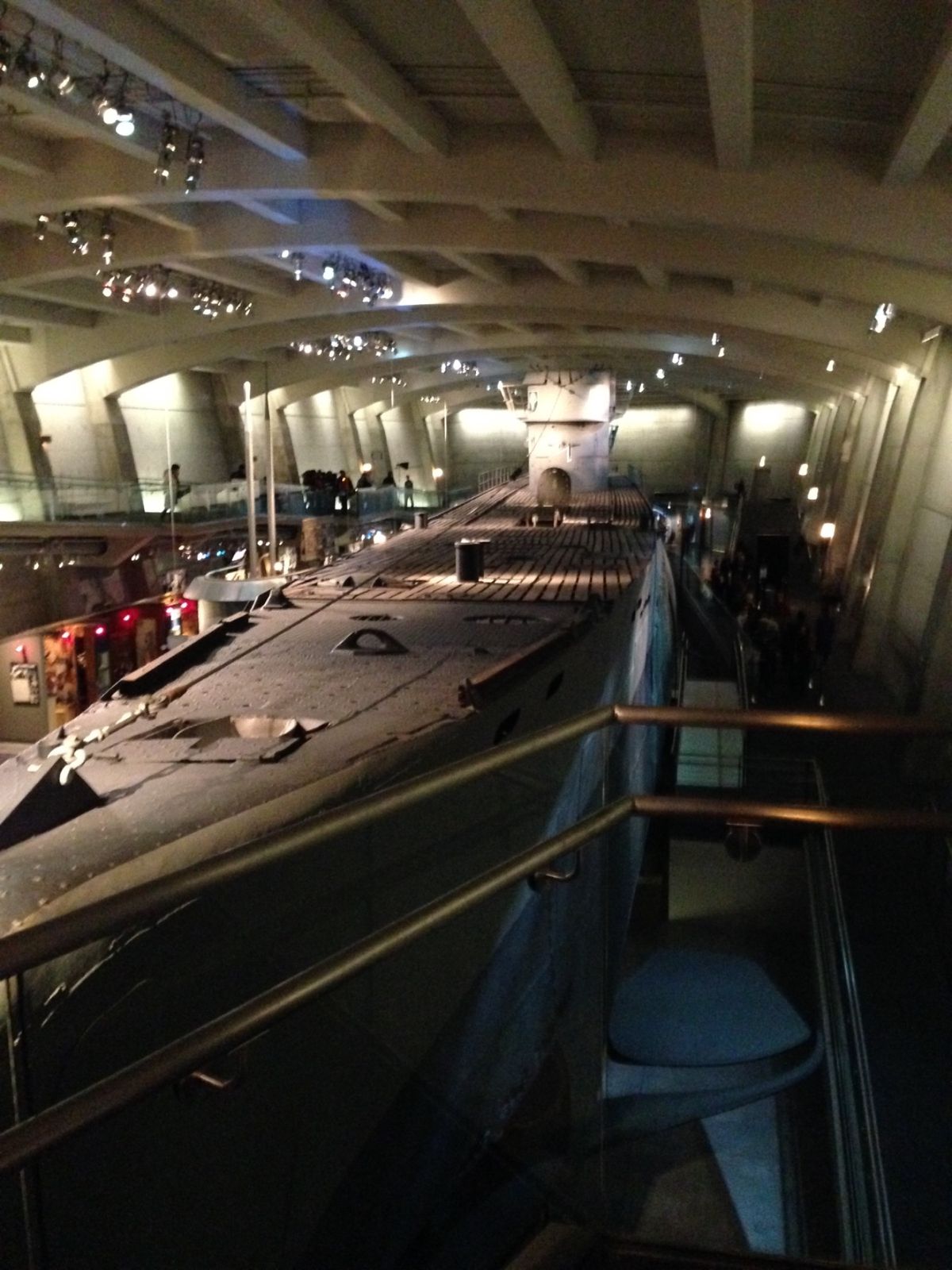 クリスマスツリーがお出迎え。