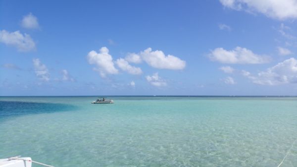 アメリカ(米国)・ハワイ「🇺🇸ハワイ🇺🇸」の写真