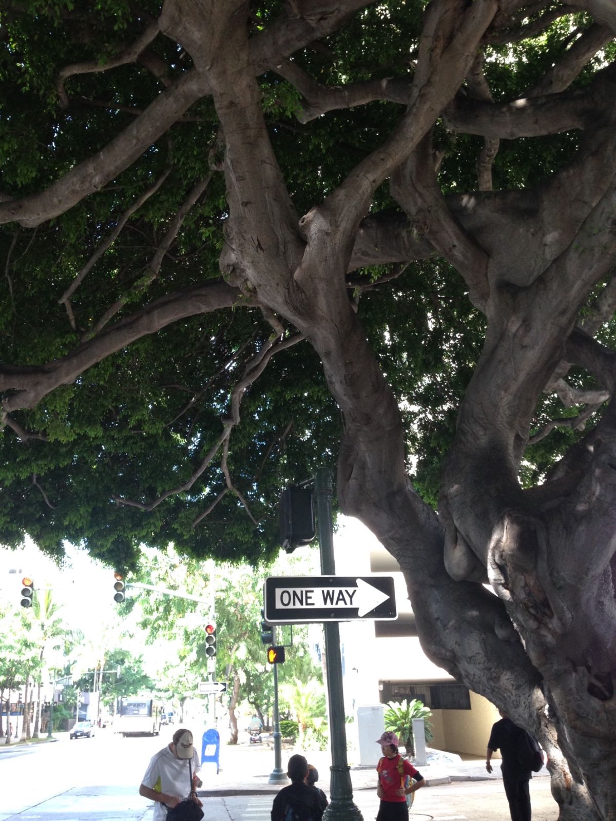 チェックインまで時間があったので、ワイキキ～アラモアナ方面をブラブラ。