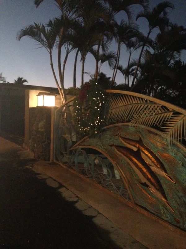 アメリカ(米国)・ホノルル「家族でホノルルマラソン」の写真：早朝からのランニング。
