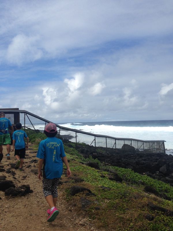 アメリカ(米国)・ホノルル「家族でホノルルマラソン」の写真：オアフ島最西端のカエナポイントへ。
車...