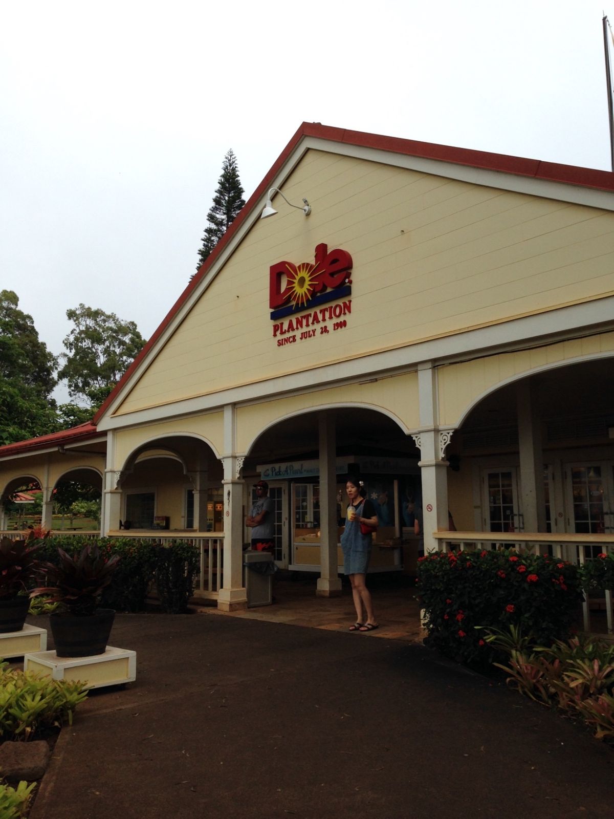 DOLEプランテーションでランチ
ここ来たらパイナップルジュースとアイス...