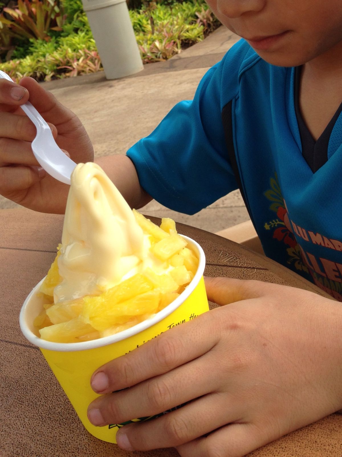 DOLEプランテーションでランチ
ここ来たらパイナップルジュースとアイス...