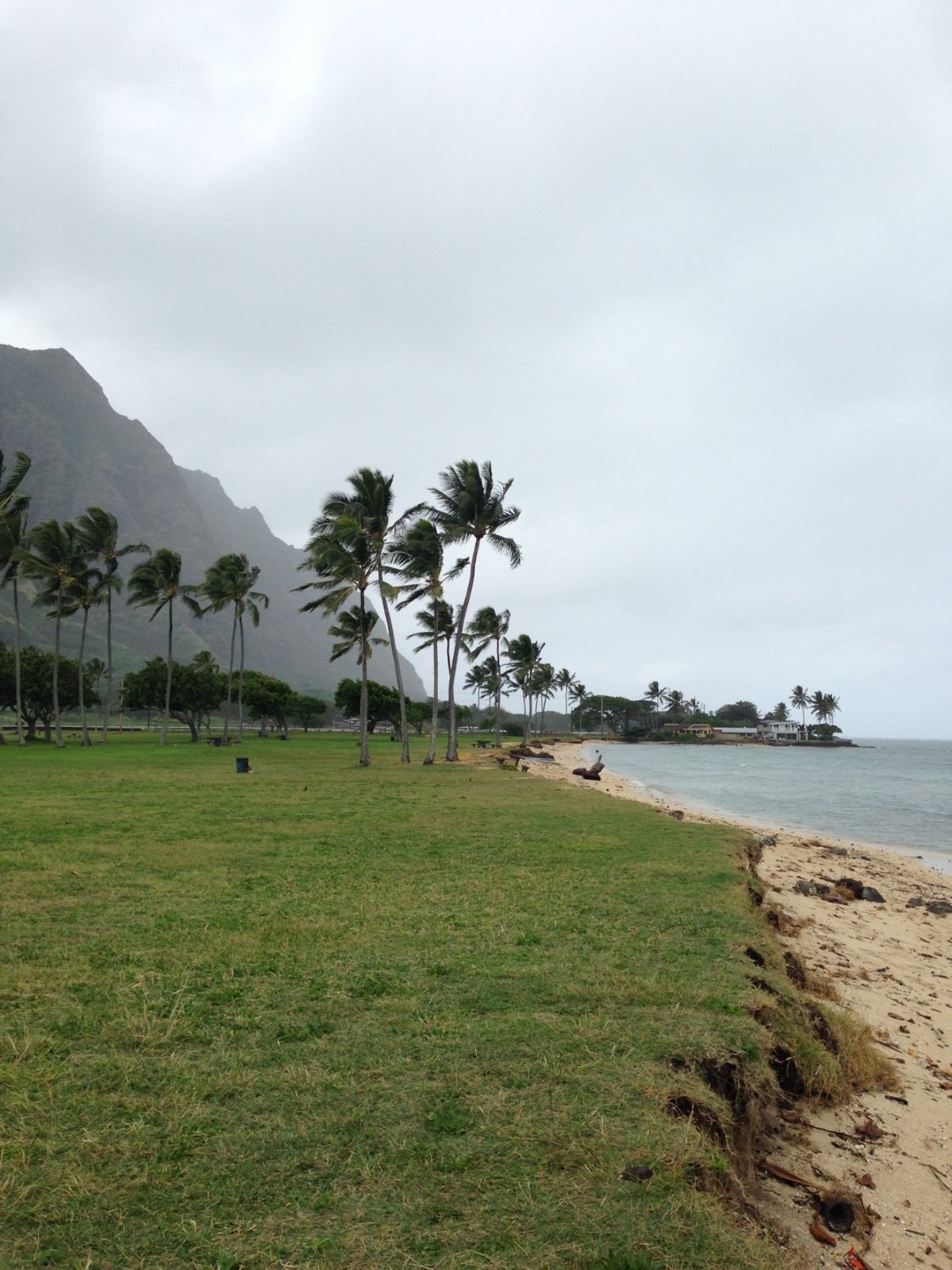 チャイナマンズハットまで泳いで行きたいってアホな事言い出す人を送り出し、私...