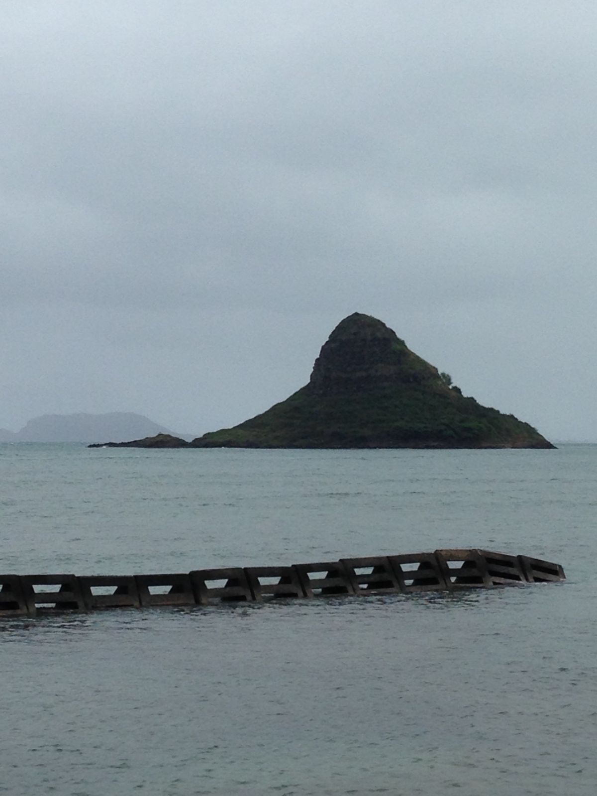 チャイナマンズハットまで泳いで行きたいってアホな事言い出す人を送り出し、私...