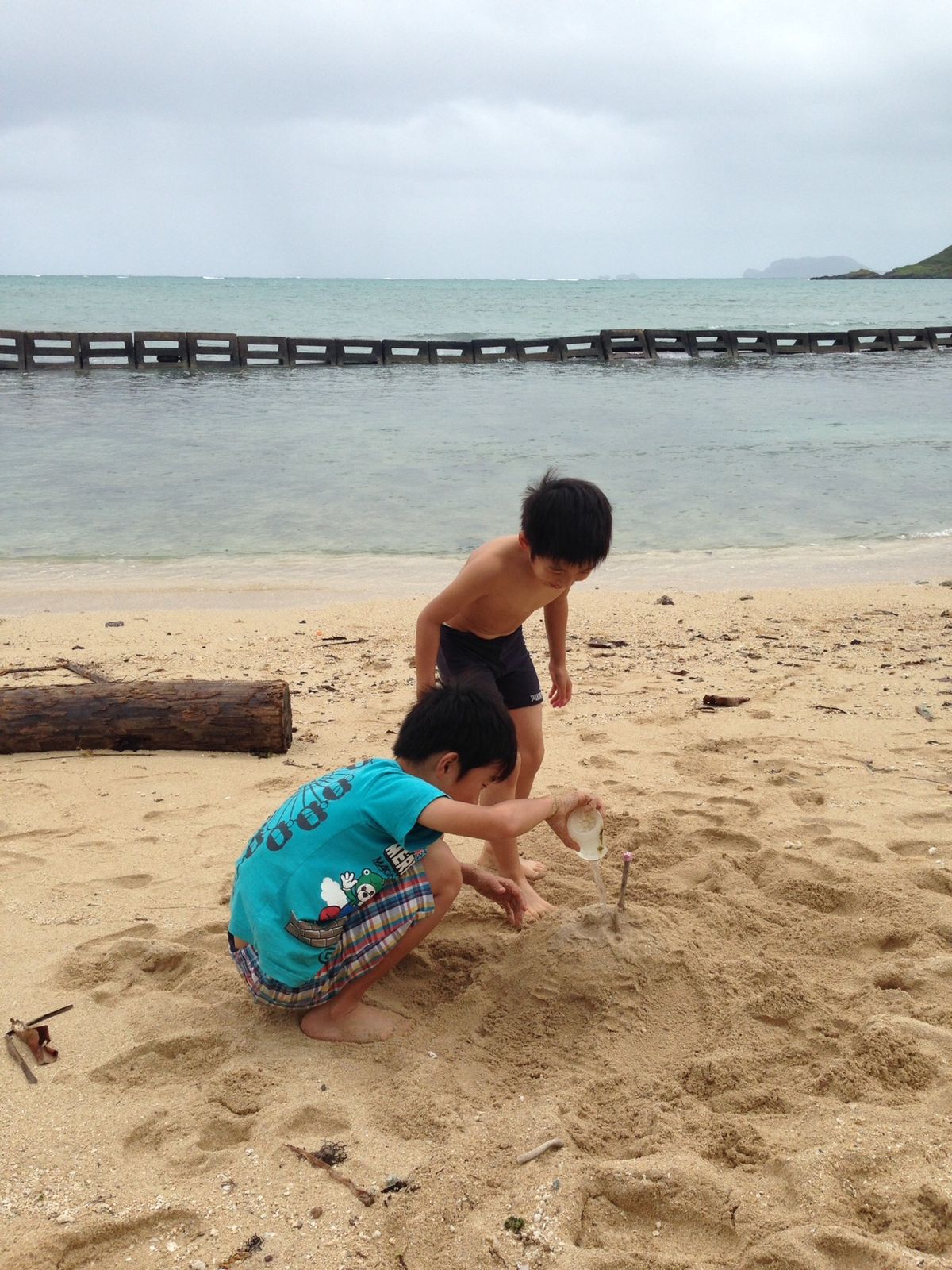 チャイナマンズハットまで泳いで行きたいってアホな事言い出す人を送り出し、私...