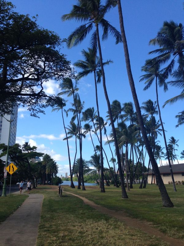 アメリカ(米国)・ホノルル「家族でホノルルマラソン」の写真：アラワイ運河～カパフル通り