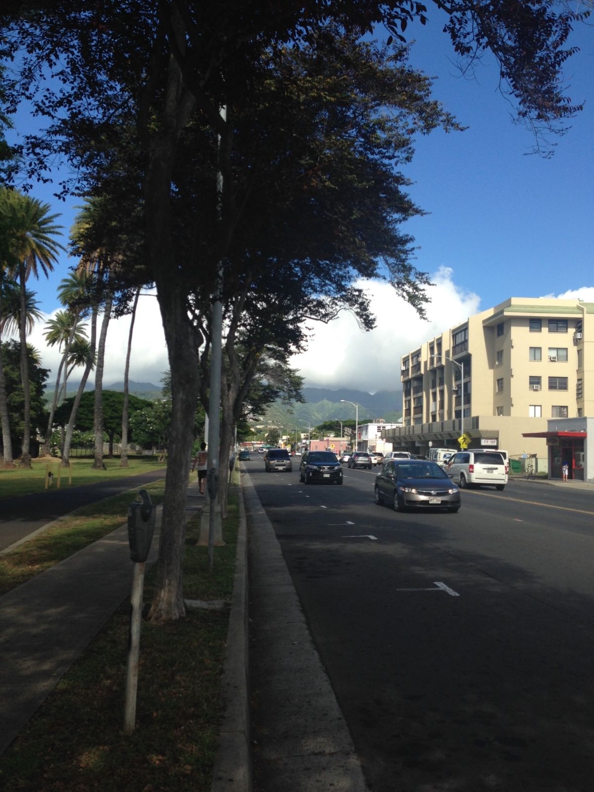 アラワイ運河～カパフル通り