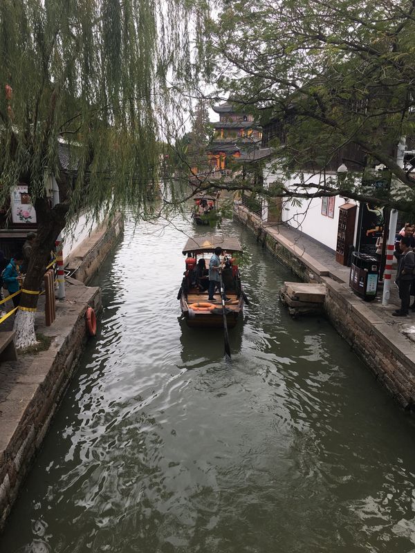 中国・蘇州・無錫・上海「上海蟹」の写真