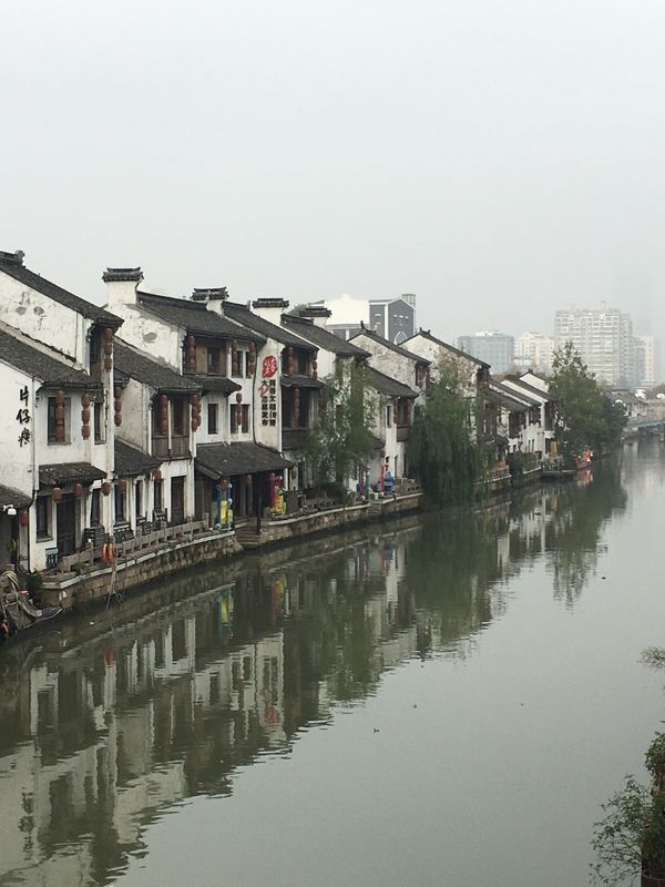 中国・蘇州・無錫・上海「上海蟹」の写真