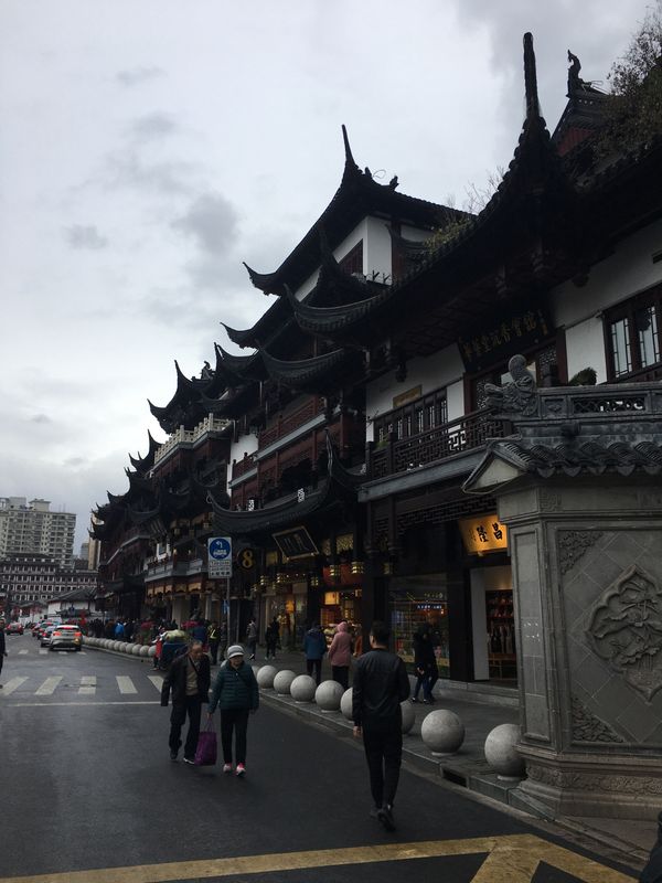 中国・蘇州・無錫・上海「上海蟹」の写真