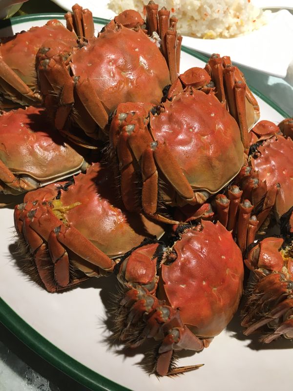 中国・蘇州・無錫・上海「上海蟹」の写真