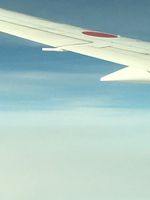 中国・蘇州・無錫・上海「上海蟹」の写真