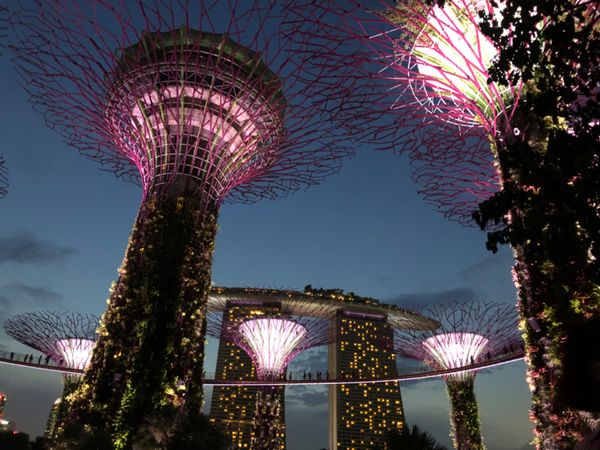 シンガポール・シンガポール、ジョホールバル、上海「シンガポールとマレーシアvia上海」の写真