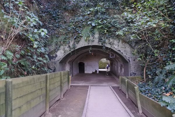 日本・横須賀「横須賀：旧軍事施設巡り。記念艦三笠＞猿島＞第二海堡」の写真：猿島は自分が思っていた雰囲気とちょっと違...