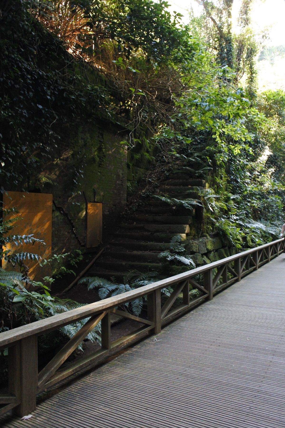猿島は自分が思っていた雰囲気とちょっと違っていて（バーベキューとかできるあ...