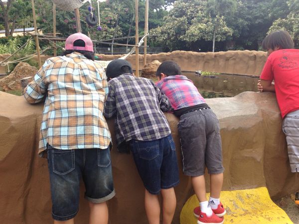 アメリカ(米国)・ホノルル「家族でホノルルマラソン」の写真：オアフ島在住の友人Mちゃん一家と「ホノル...