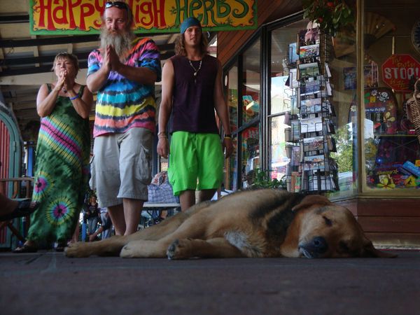 オーストラリア連邦・ゴールドコースト「ワーキングホリデーでオーストラリアへ」の写真：Nin Bin