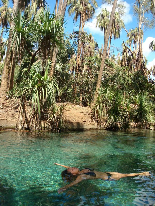 オーストラリア連邦・ゴールドコースト「ワーキングホリデーでオーストラリアへ」の写真：森の中の天然プール。人全然いないし、水め...