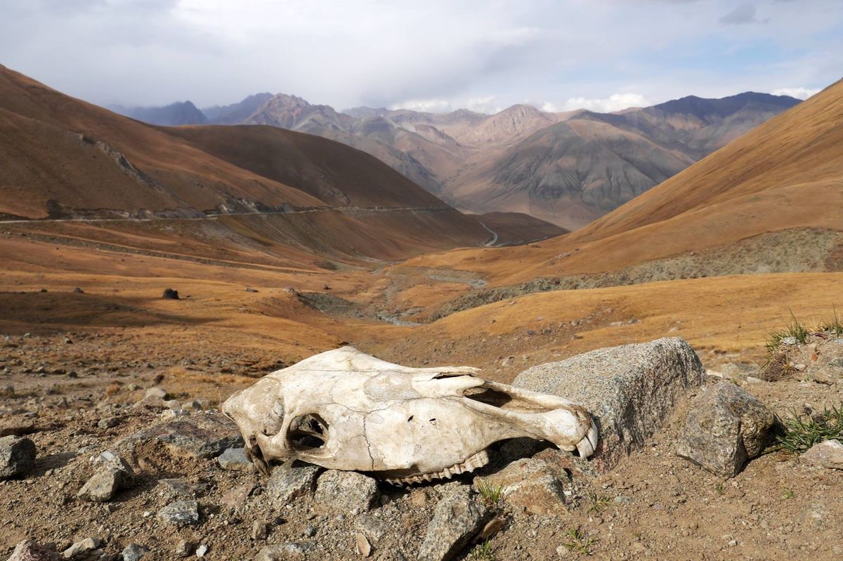 キルギスといえば ソンクルという湖！
この秘境感がたまりません！
キルギス...