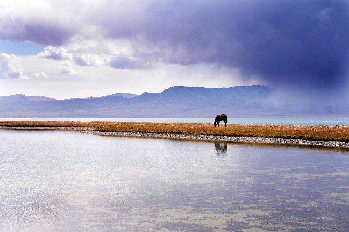 キルギスといえば ソンクルという湖！
この秘境感がたまりません！
キルギス...
