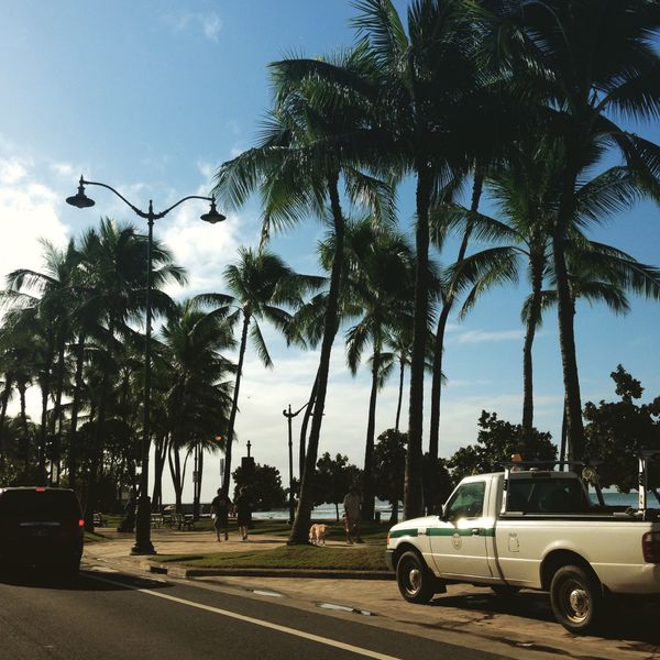 アメリカ(米国)・ホノルル「家族でホノルルマラソン」の写真：楽しい旅だったな。
いつかまた子供達と...