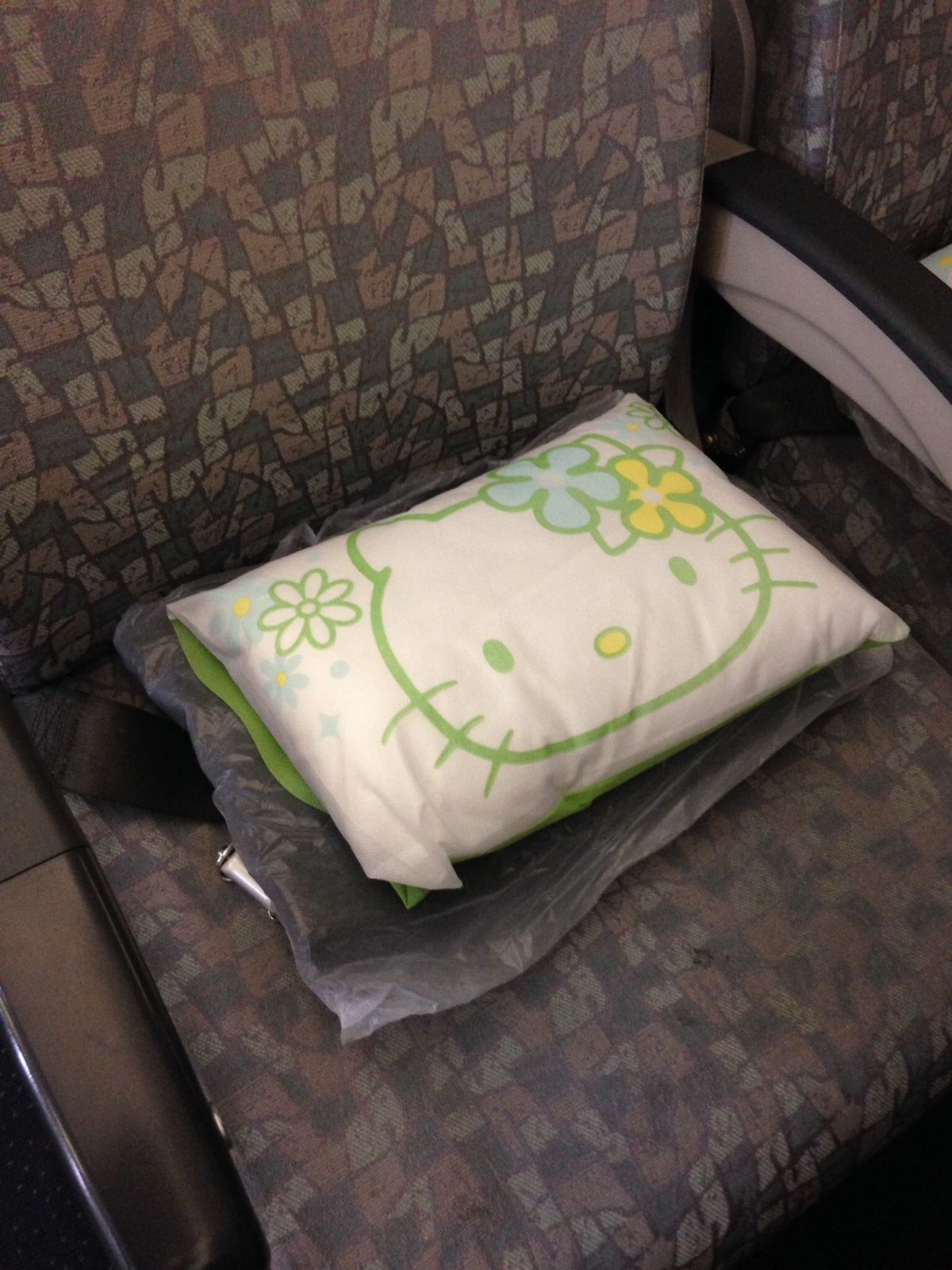 エバー航空
話には聞いていたけど、どこもかしこもキティちゃん