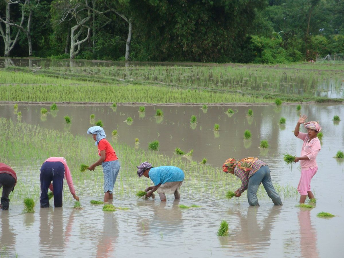 サモシール島バイクでラウンド。道がやばすぎて一周するのに半日以上かかったな...