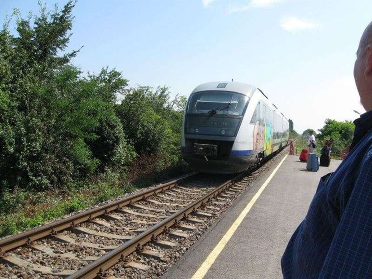 電車は新車が来ました