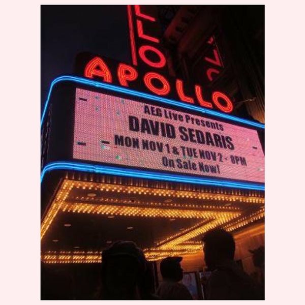 アメリカ(米国)・ニューヨーク「ボイスレッスンinハーレム」の写真：憧れのアポロシアターアマチュアナイトには...