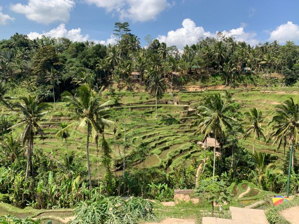 インドネシア・バリ島「Bali in Indonesia🇮🇩」の写真