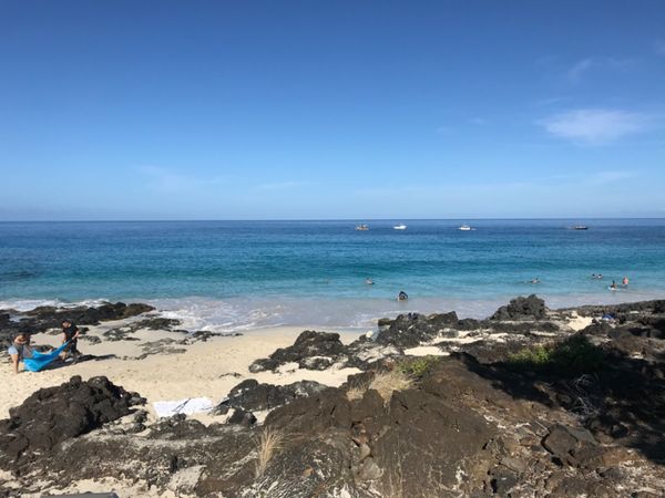 アメリカ(米国)・カイルアコナ、キラウエア、ホノカア、マウナケア、ヒロ、ホノルル「アメリカ　ハワイの旅2019」の写真