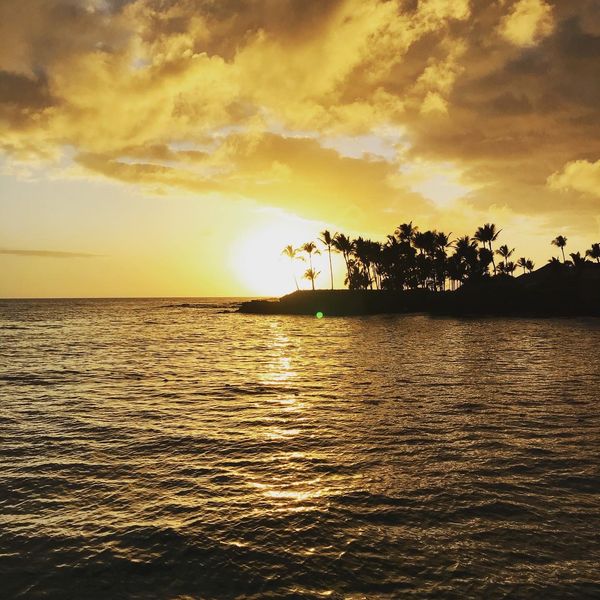 アメリカ(米国)・カイルアコナ、キラウエア、ホノカア、マウナケア、ヒロ、ホノルル「アメリカ　ハワイの旅2019」の写真