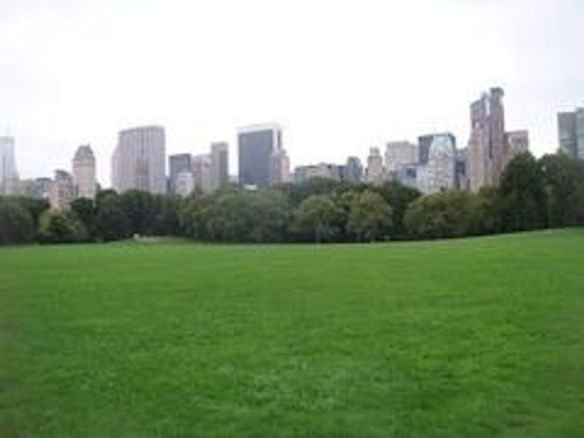 早朝のセントラルパーク、シープメドゥ。
誰もいなかったので発声練習してい...