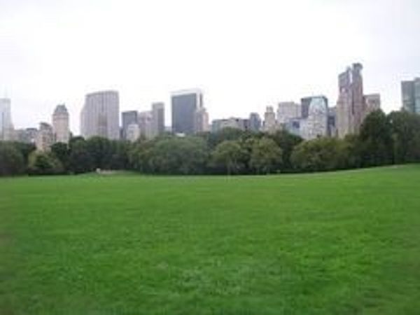 アメリカ(米国)・ニューヨーク「ボイスレッスンinハーレム」の写真：早朝のセントラルパーク、シープメドゥ。
...