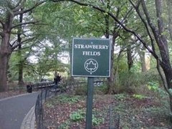 アメリカ(米国)・ニューヨーク「ボイスレッスンinハーレム」の写真：ストロベリーフィールズの看板。
イマジ...