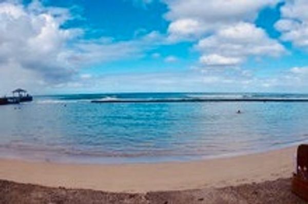 アメリカ(米国)・ホノルル「家族で初海外」の写真：ハワイらしい景色