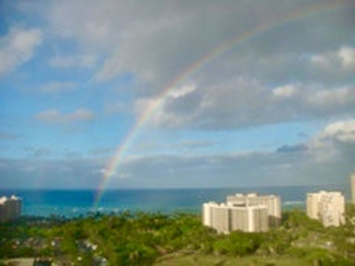 ハワイらしい景色