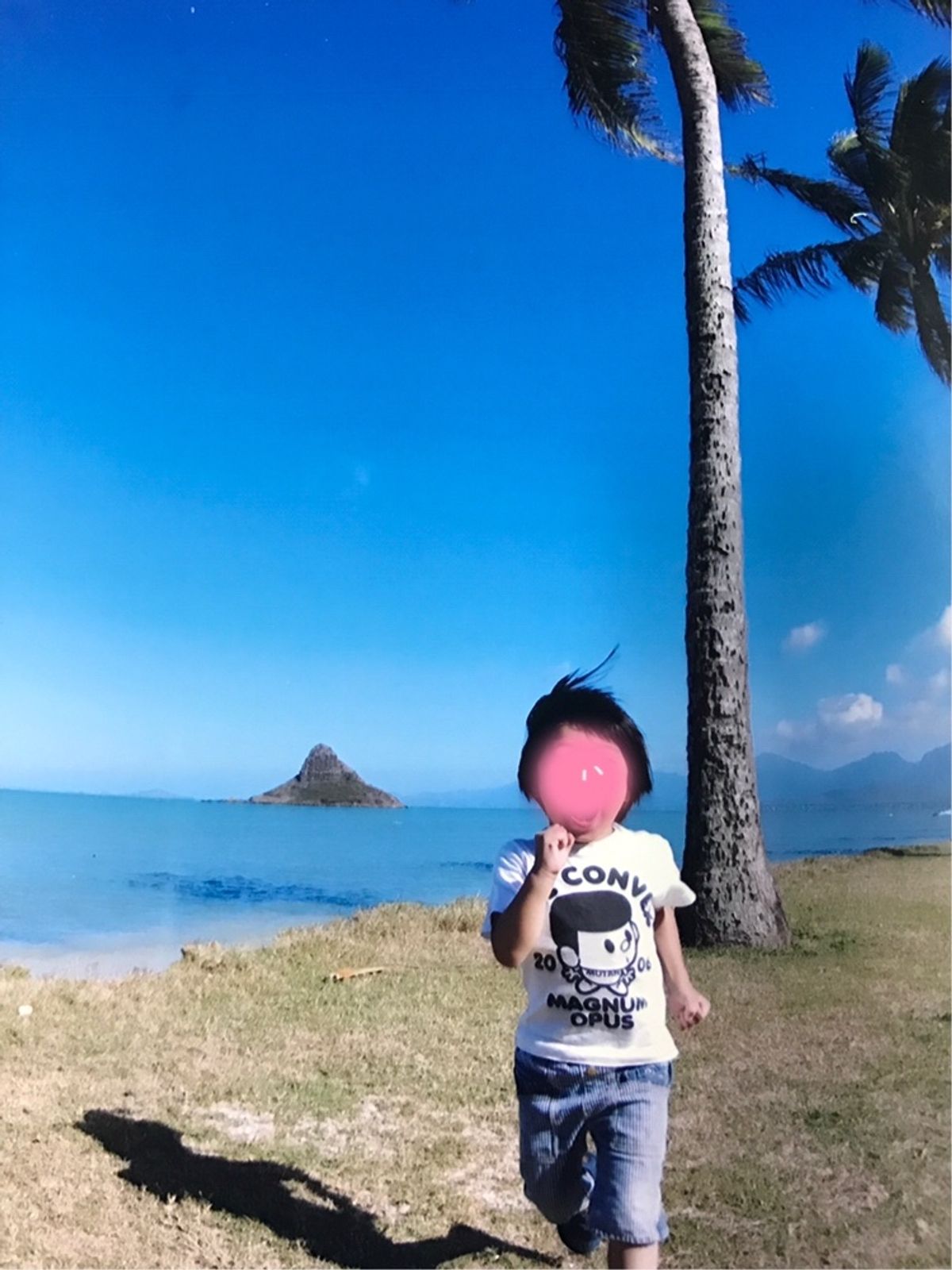 年賀状用にそれぞれ撮影。
景色と調和してみんな素敵な表情なんだけど、お見...