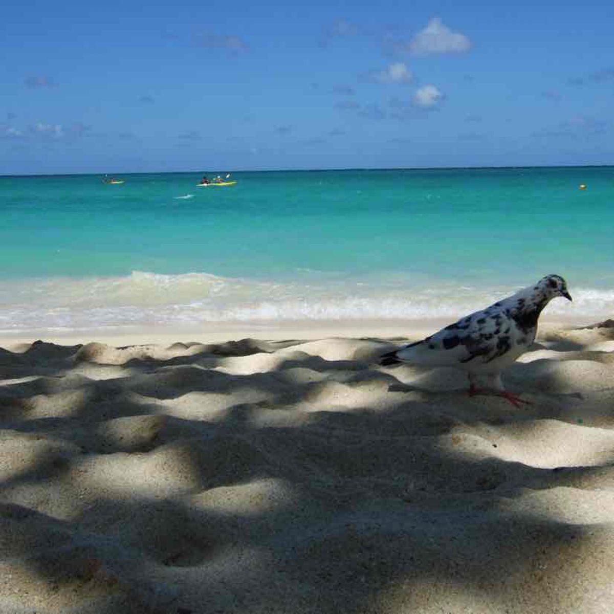 1枚目はダイヤモンドヘッドからのながめ。2枚目ダブルレインボー。