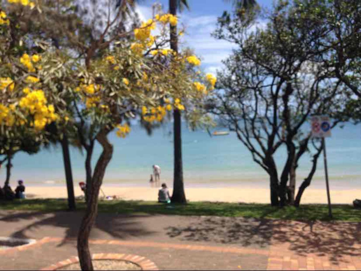 1.2枚目はグリーン島、ほんとに海がきれいだった。