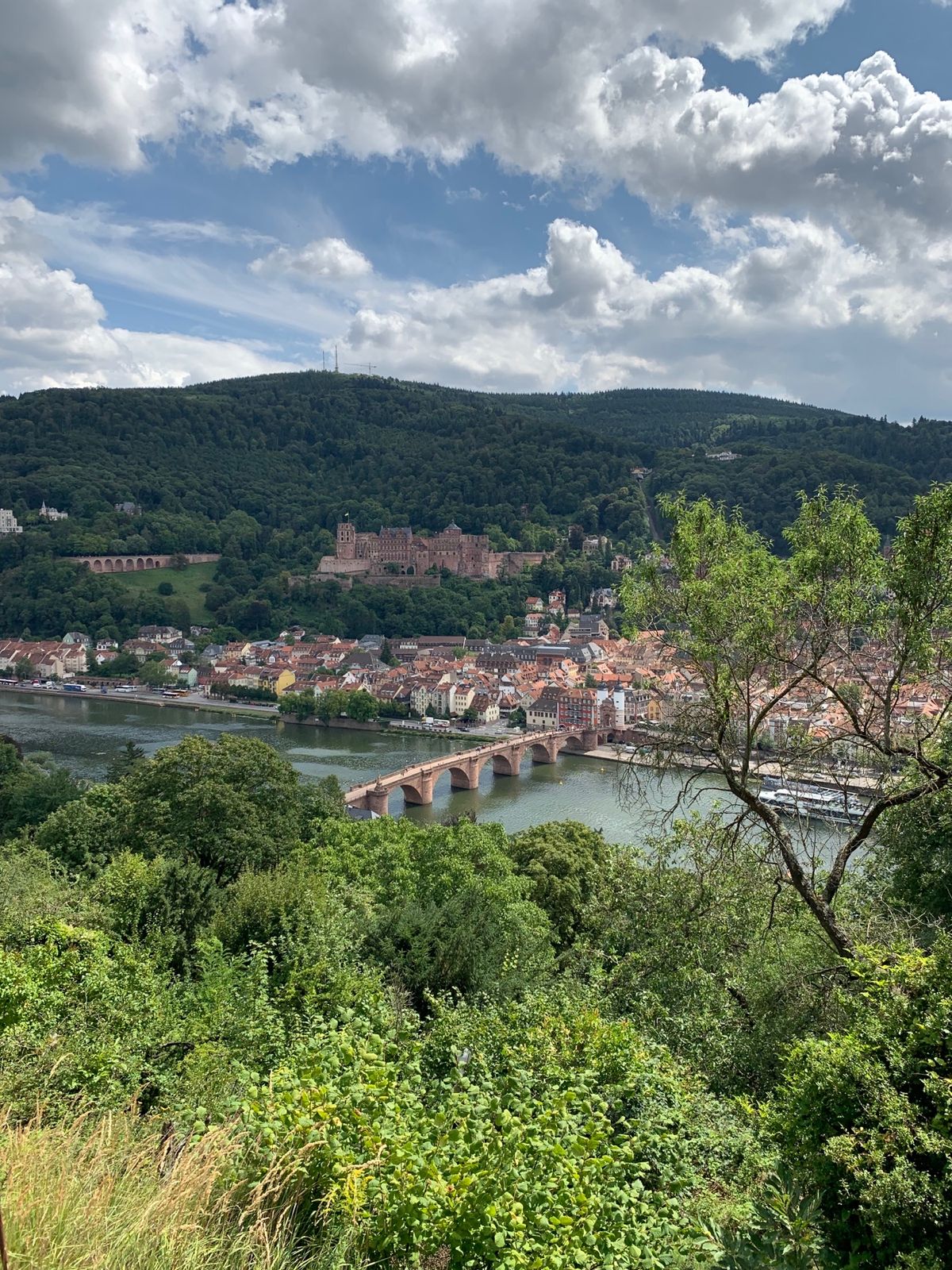 フランクフルト、ハイデルベルク。りんご酒祭り🍶