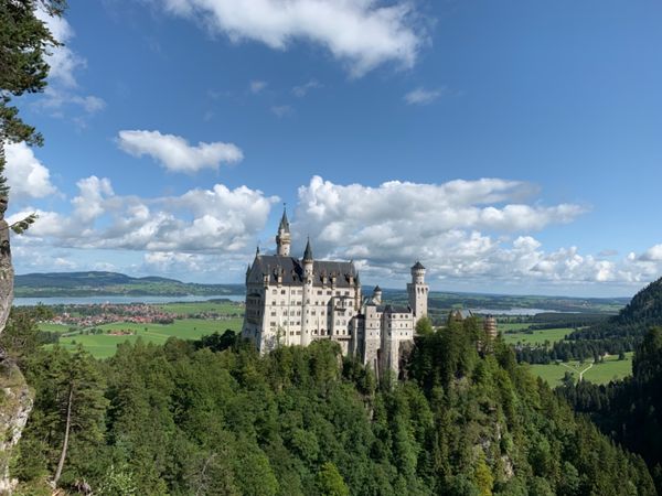 ドイツ・フランクフルト、ハイデルベルク、ローテンブルク、ミュンヘン、ノイシュバンシュタイン城「ドイツ、ロマンティック街道の旅」の写真：ノイシュバンシュタイン城とリンダーホフ城など