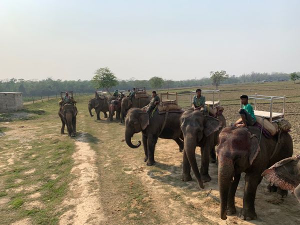 ネパール「ネパール 」の写真