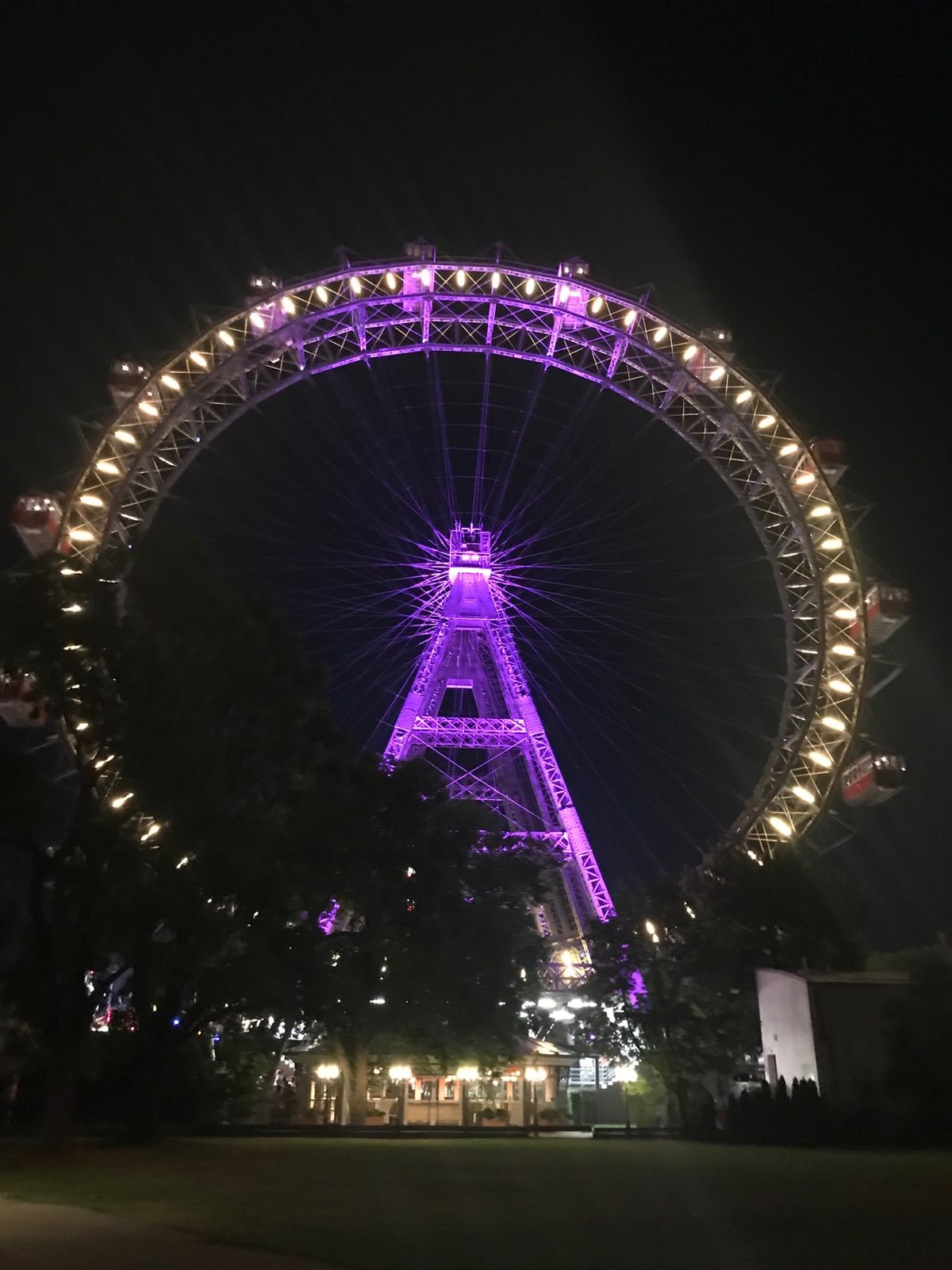 モーツァルト像にプラーターの観覧車、王宮などなど。
グラーシュはおいしいけ...