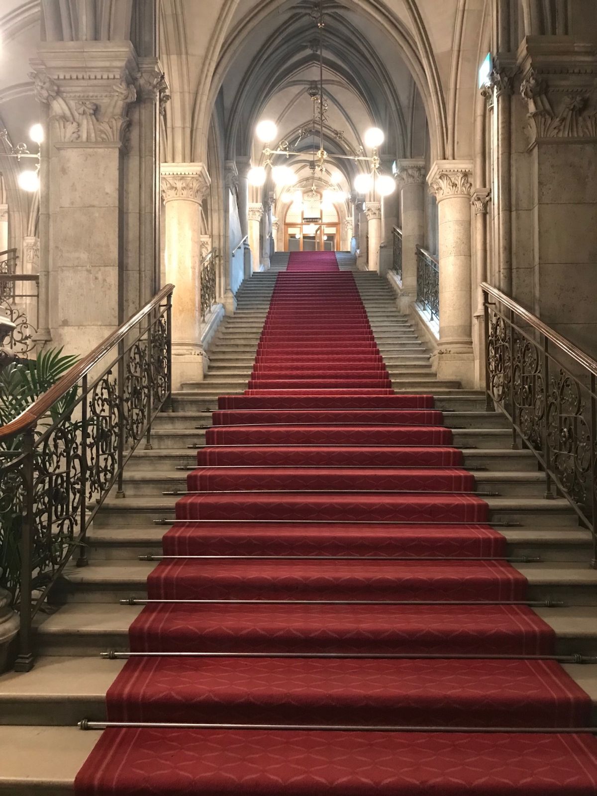 夜にバレエの映像を楽しむ会が行われていました。ウィーンのスープ、おいしかっ...